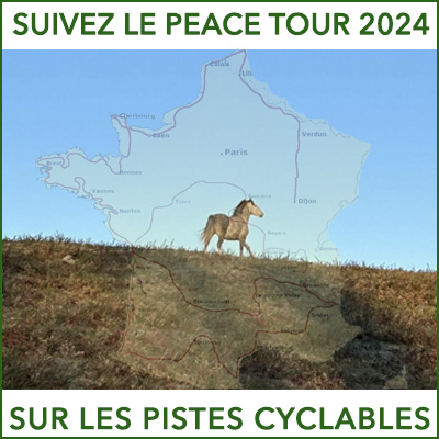 peace cyclable tour 2024