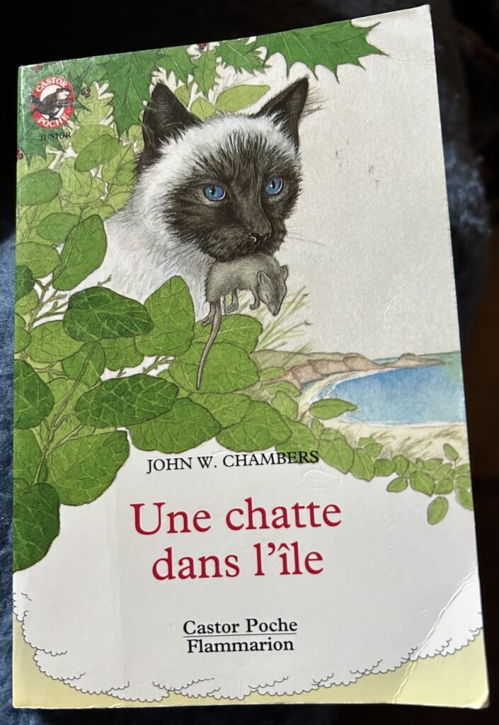 Couverture d’ouvrage : Une chatte dans l’île