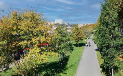 Pistes cyclables et itinéraires vélo autour de Lyon